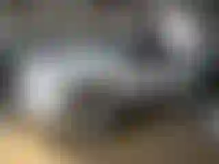Vehicle Image- 2025 RAM 1500