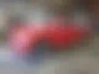 Vehicle Image- 2021 RAM 1500