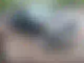 Vehicle Image- 2020 RAM 1500