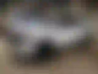 Vehicle Image- 2022 RAM 1500