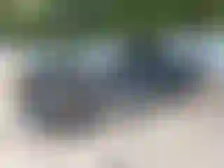 Vehicle Image- 2022 RAM 1500