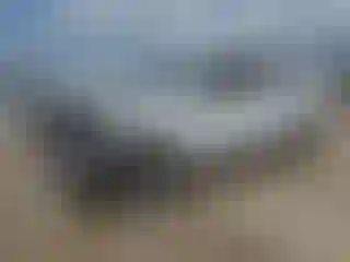 Vehicle Image- 2021 RAM 1500