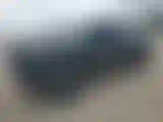Vehicle Image- 2025 RAM 1500