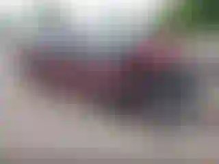 Vehicle Image- 2019 RAM 1500
