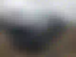 Vehicle Image- 2019 RAM 1500