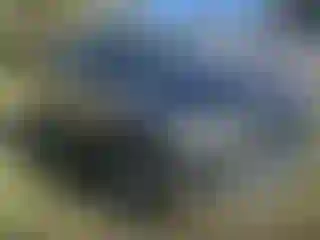 Vehicle Image- 2019 RAM 1500