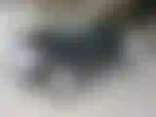 Vehicle Image- 2019 RAM 1500