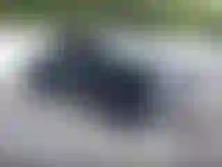 Vehicle Image- 2019 RAM 1500