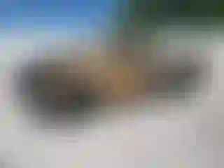Vehicle Image- 2019 RAM 1500