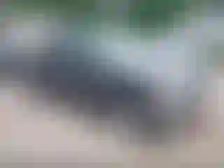 Vehicle Image- 2021 RAM 1500