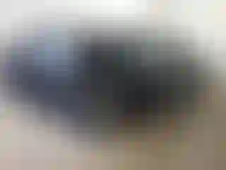 Vehicle Image- 2022 RAM 1500