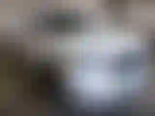 Vehicle Image- 2021 RAM 1500