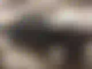 Vehicle Image- 2022 RAM 1500