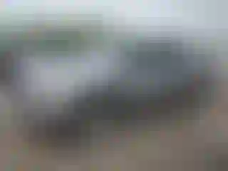Vehicle Image- 2024 RAM 1500