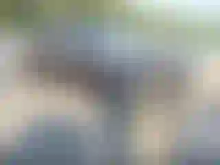 Vehicle Image- 2021 RAM 1500