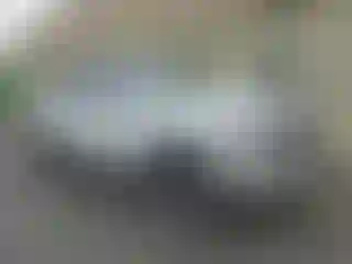 Vehicle Image- 2019 RAM 1500