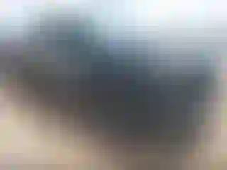 Vehicle Image- 2023 RAM 1500