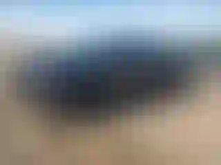 Vehicle Image- 2020 RAM 1500
