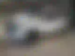 Vehicle Image- 2021 RAM 1500