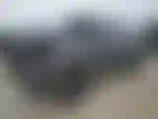 Vehicle Image- 2021 RAM 1500