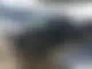 Vehicle Image- 2020 RAM 1500