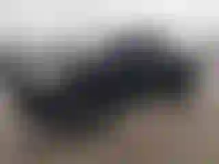 Vehicle Image- 2020 RAM 1500