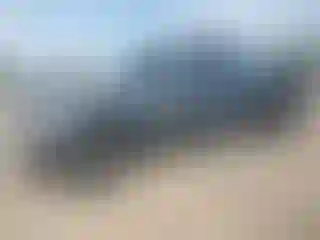 Vehicle Image- 2019 RAM 1500