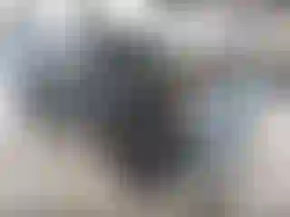 Vehicle Image- 2019 RAM 1500