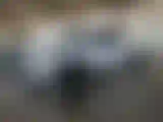 Vehicle Image- 2021 RAM 1500
