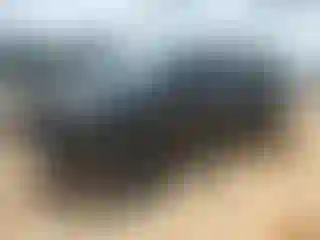 Vehicle Image- 2023 RAM 1500