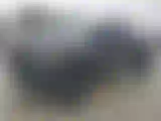 Vehicle Image- 2024 RAM 1500