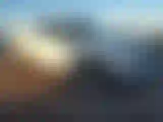 Vehicle Image- 2009 Dodge RAM 1500