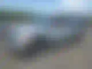 Vehicle Image- 2009 Dodge RAM 1500