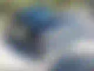 Vehicle Image- 2009 Dodge RAM 1500