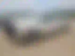 Vehicle Image- 2009 Dodge RAM 1500