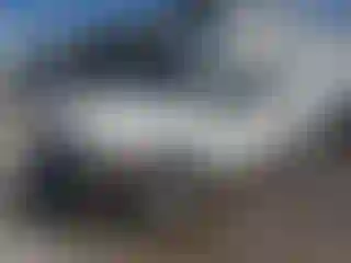 Vehicle Image- 2009 Dodge RAM 1500