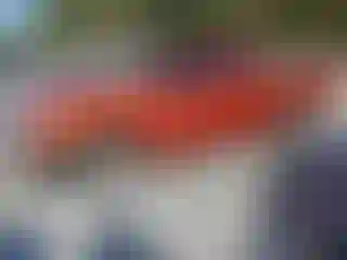 Vehicle Image- 2009 Dodge RAM 1500