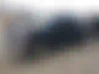 Vehicle Image- 2009 Dodge RAM 1500