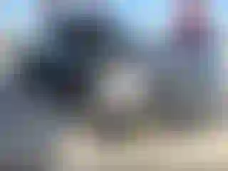 Vehicle Image- 2009 Dodge RAM 1500