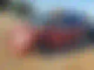 Vehicle Image- 2003 Dodge Caravan