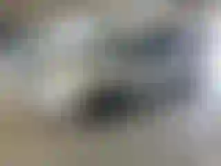 Vehicle Image- 2006 Dodge Caravan