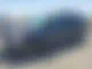 Vehicle Image- 2006 Dodge Caravan