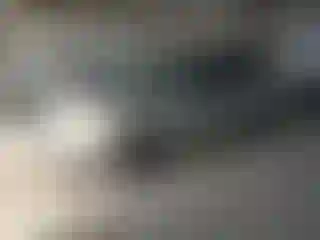 Vehicle Image- 2007 Dodge Caravan
