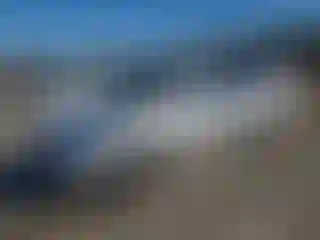 Vehicle Image- 2005 Dodge Caravan