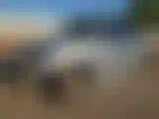 Vehicle Image- 2006 Dodge Caravan