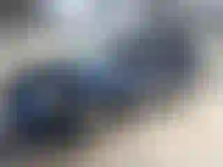 Vehicle Image- 2006 Dodge Caravan