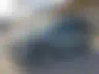Vehicle Image- 2006 Dodge Caravan