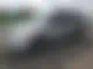 Vehicle Image- 2005 Dodge Caravan