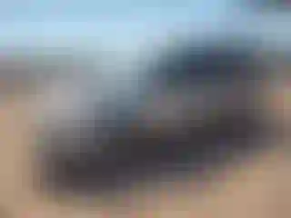 Vehicle Image- 2006 Dodge Caravan