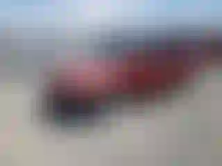 Vehicle Image- 2005 Dodge Caravan